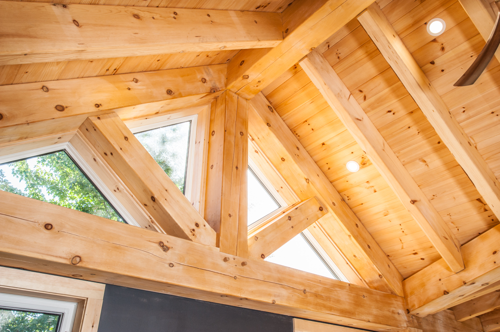 Backyard Structures 